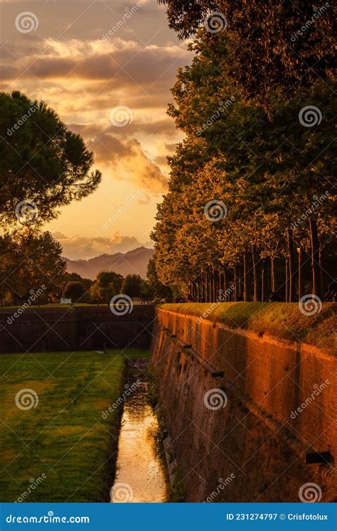 Lucca Sunset Walls