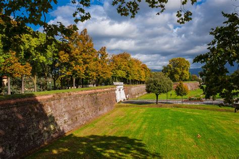 Lucca Wall Views