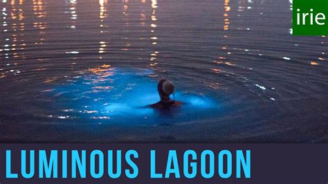 Luminous Lagoon Safety