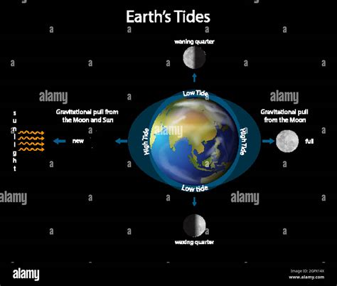 Lunar Phases: Ebb and Flow of Celestial Tides