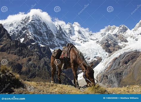 Lunch Andes Mountains