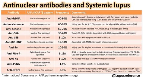 Lupus Antibody Tests