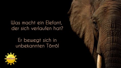 Lustig Bilder Whatsapp