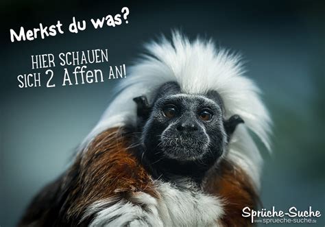 Lustig SprüChe Bilder