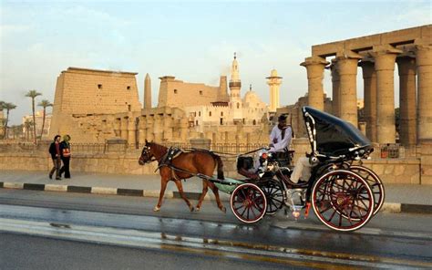 Luxor Carriage Ride Expectations
