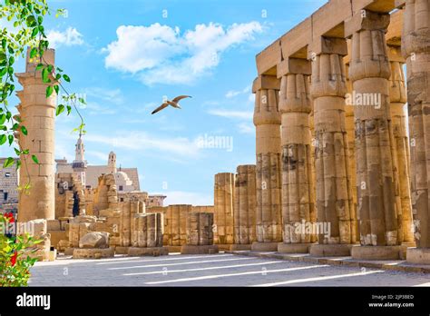 Luxor Temple Photographer