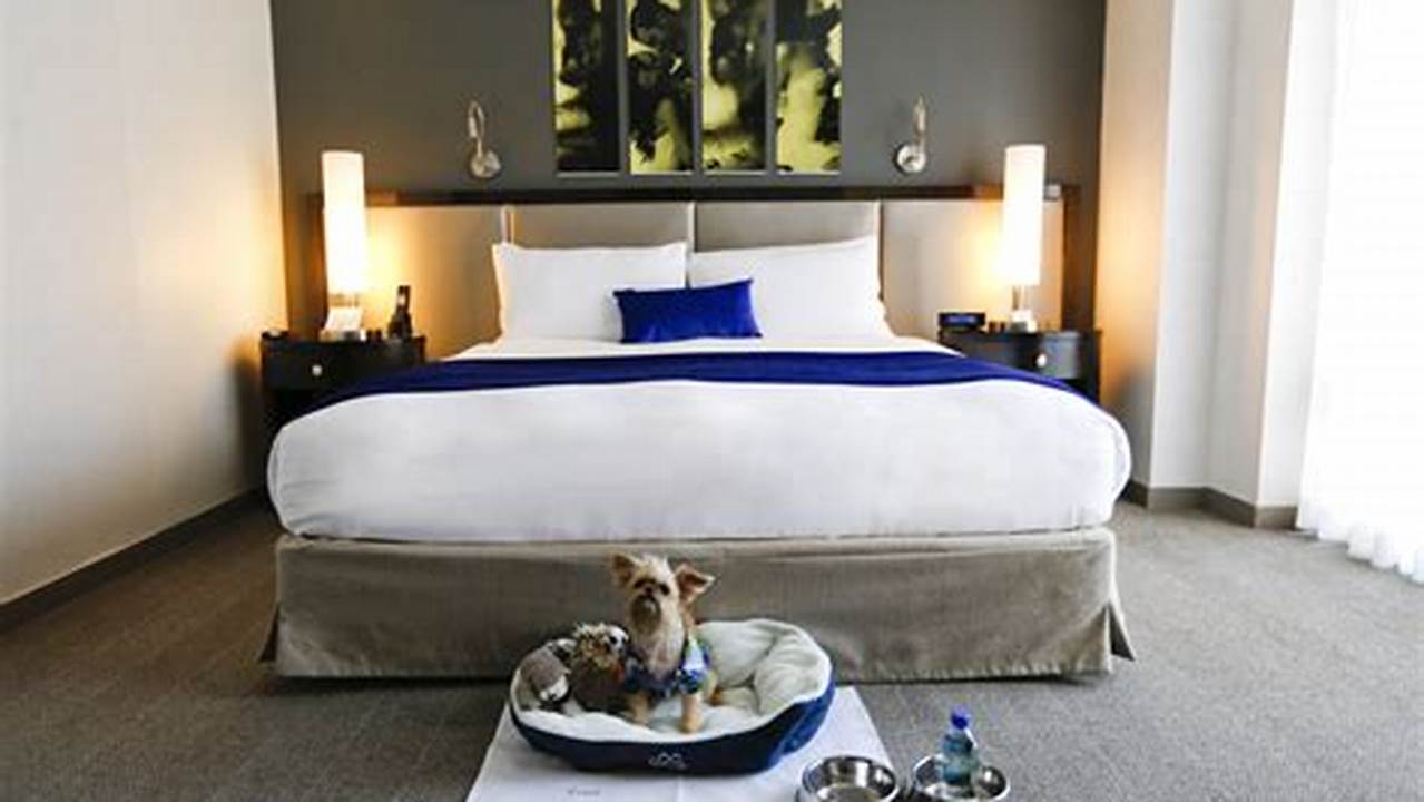 Luxurious Accommodations, Pet Friendly Hotel