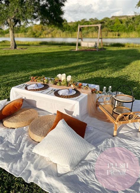 Luxurious Picnic Setup