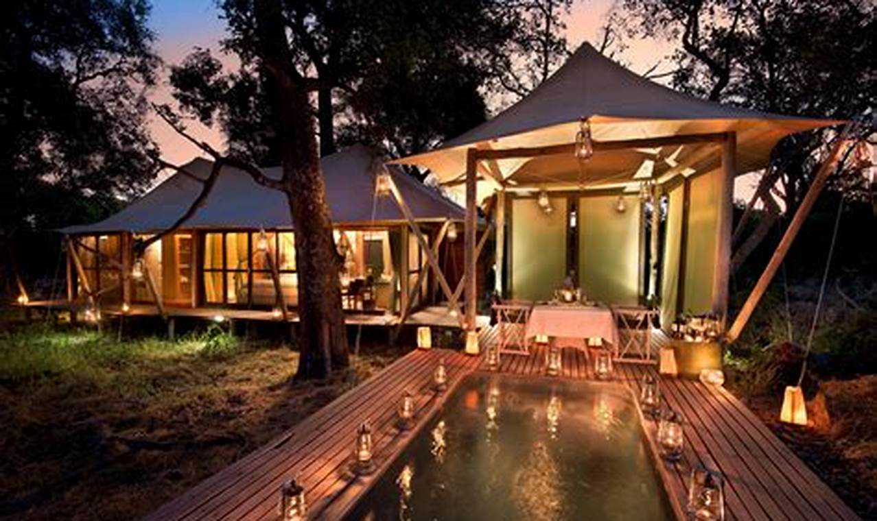 Luxury safari camp reviews for immersive experiences