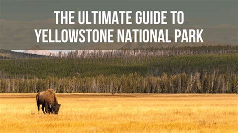 Luxury Yellowstone Tour