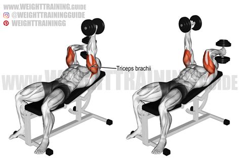 Lying Tricep Extension
