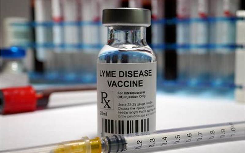 Lyme Disease Vaccine