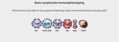 Lymphocyte Subset Panel Test and interpretation