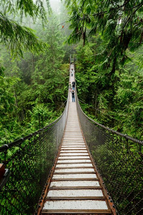 Lynn Valley Suspension Bridge View