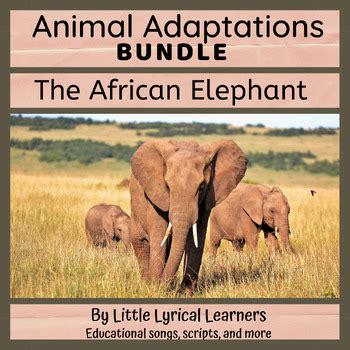Lyrical Adaptations