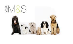 M And S Pet Insurance Reviews