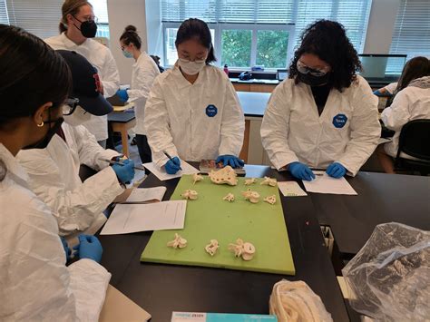 MMSS (Michigan Math and Science Scholars) - Summer Programs 