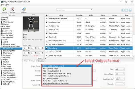 MP3 Format