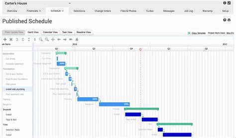 Ms Project Construction Schedule Template - Great Research