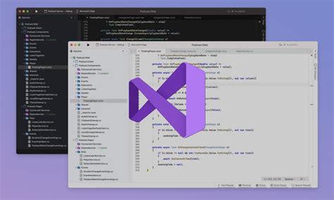 Mac users have one year left of Visual Studio
