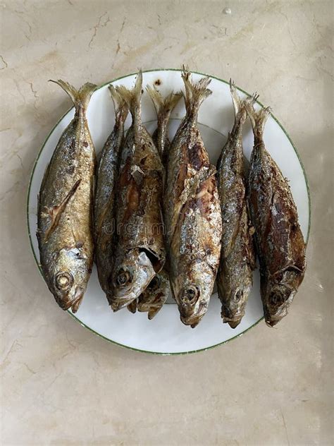 Mackerel Scad In Tagalog