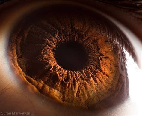 Extreme macro shot of a brown human eye Stock Video