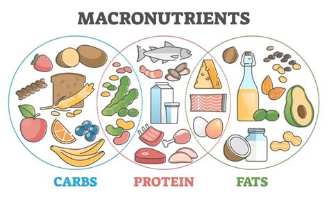 Macronutrient Balance for CSSD Athletes