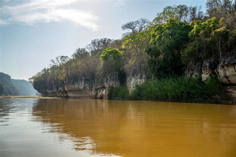 Madagascar river landscape