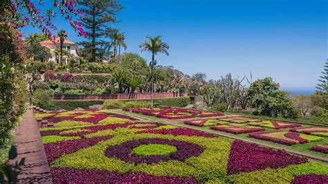 Madeira Botanical Garden overview