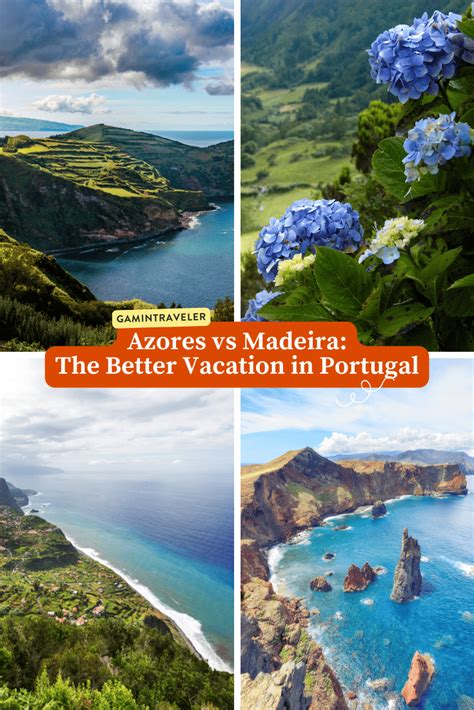 Madeira Comparison