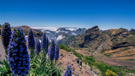 Madeira Nature Conservation
