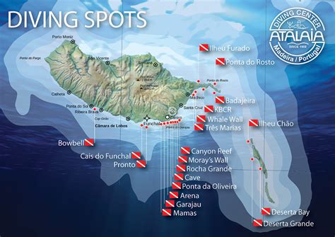 Madeira dive sites