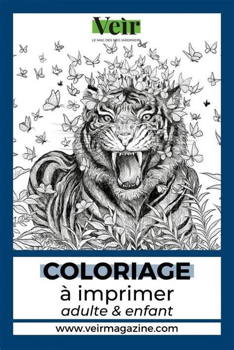Magazine Coloriage Pour Adulte
