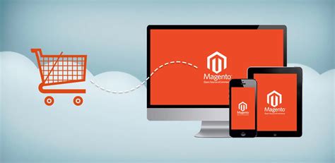 Fast, Flexible Magento Open Source Hosting