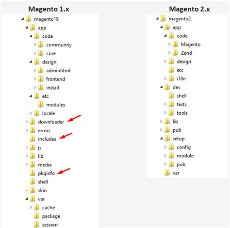 Unfold the Charm of Magento 2: Embrace the Beauty of Skin Folder