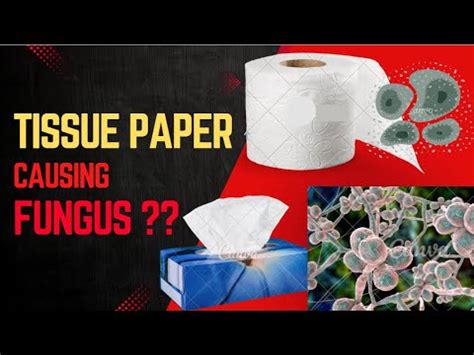 Magic Tissue: Hidden Risks & What to Do