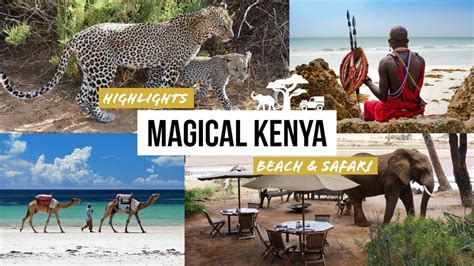 Magical Safari Highlights