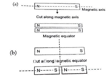 Magnetic Polarity in Cut Magnets