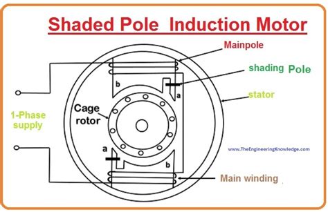 Magnets in Motion: Understanding Their Role