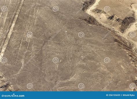 Magnificent Nazca Lines