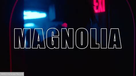 Magnolia (Hide it in My Sock) - Roblox ID