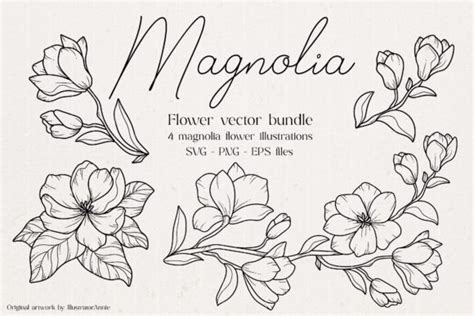 Unleash Your Creativity with Magnolia Svg Free - The Ultimate Floral Design Element for Your DIY Projects!