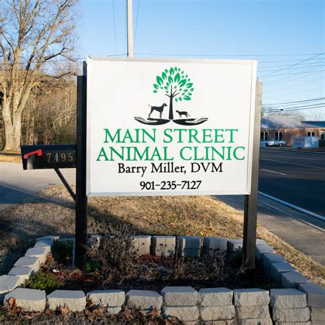 Expert Veterinary Care for Your Furry Friends: Main Street Animal Clinic in Oakland, TN