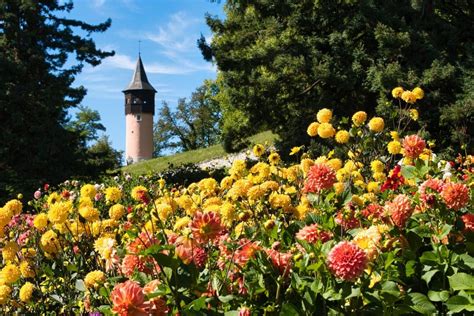 Mainau Island Tips