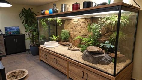 Maintain a Clean and Healthy Environment for Your Fish