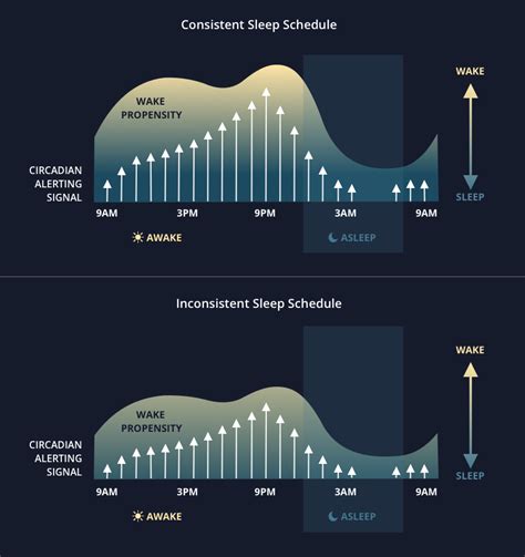 Maintain a Consistent Sleep Schedule