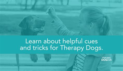 Maintaining Your Therapy Dog Status