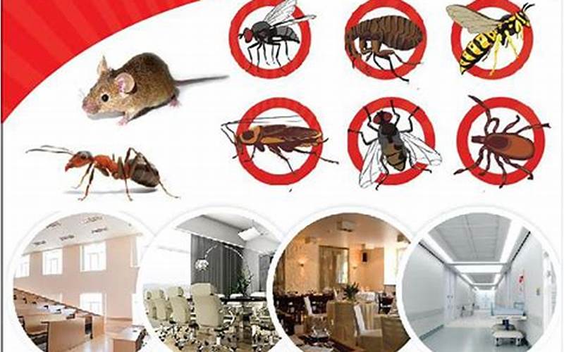 Maintenance Tips To Prolong Fumigation Effects