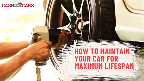 Maintenance Tips for Maximum Lifespan