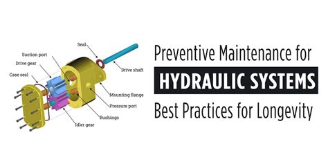 Maintenance and Best Practices for Longevity